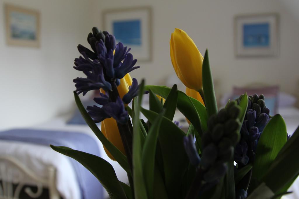 Sunny Cottageメイデンヘッド 部屋 写真